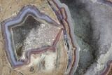 Crystal Filled Dugway Geode (Polished Half) - Utah #141308-1